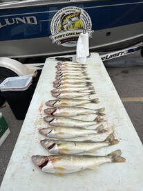 Saginaw Bay walleye trolling