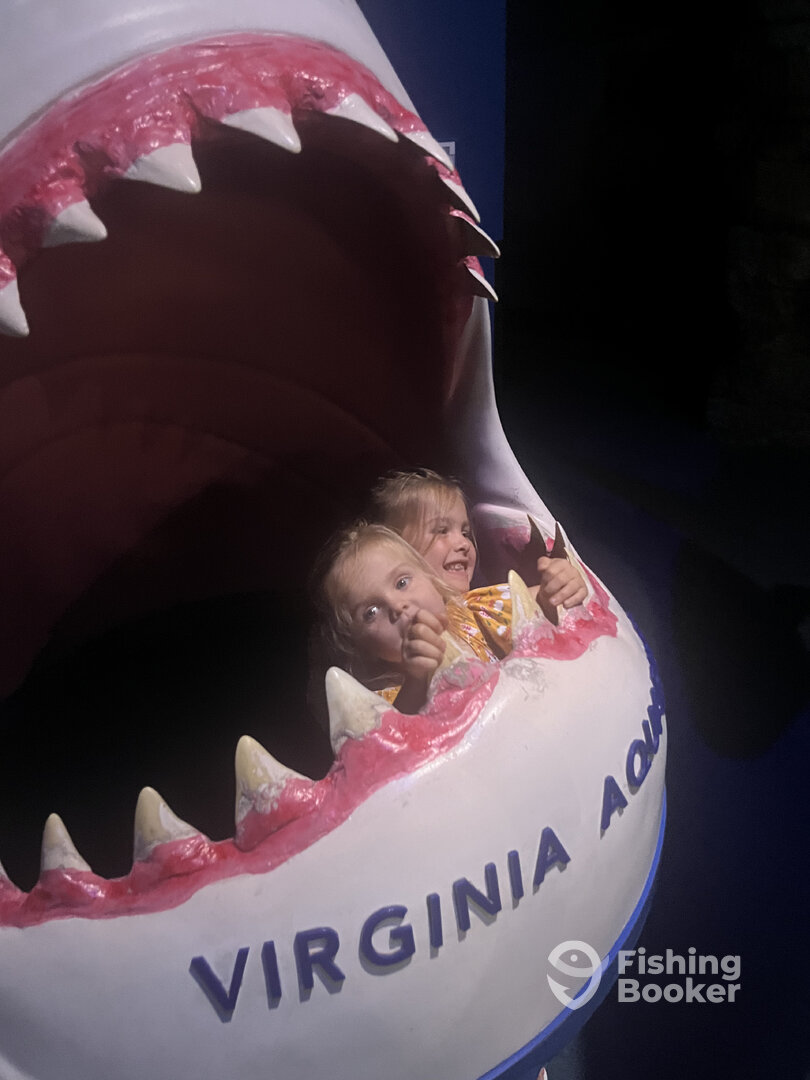 Virginia Beach Report Photo 0