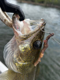 Branson Report Photo 1