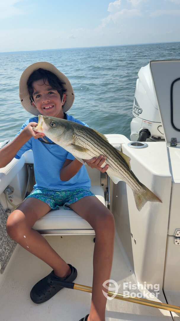 Chesapeake Beach Report Photo 0