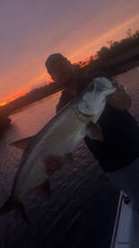 What wild weekend on charlotte harbor! 