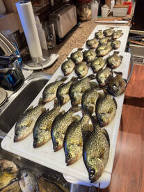 Fun trip targeting panfish this afternoo