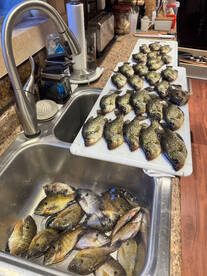 Rhinelander Report Photo 2