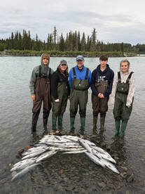Kenai Report Photo 1