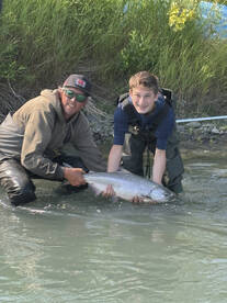 Kasilof Red Salmon Are Still Running!
