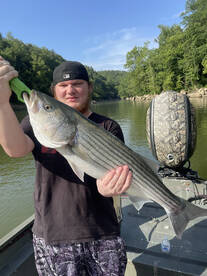 Corbin Report Photo 2