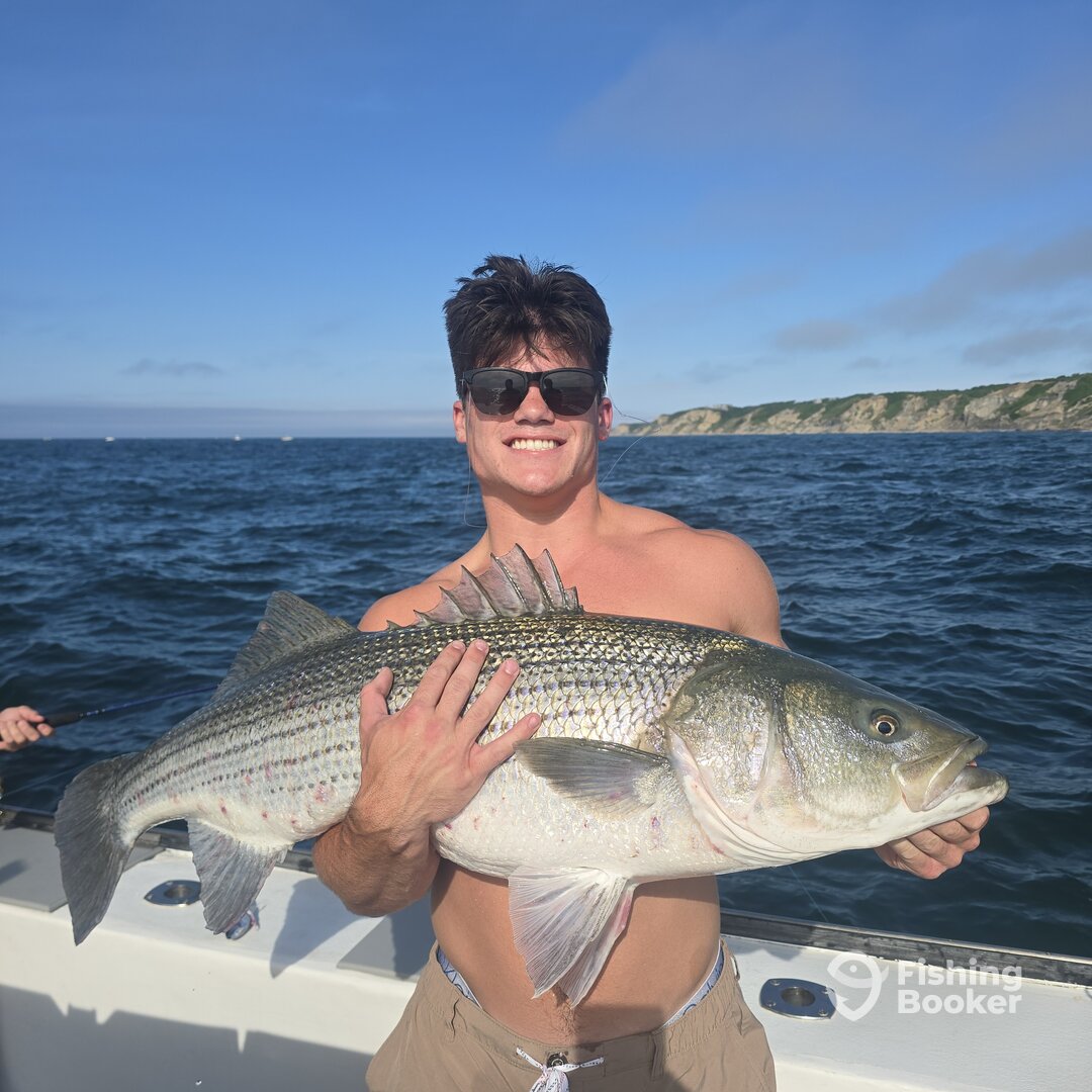 Narragansett Report Photo 0
