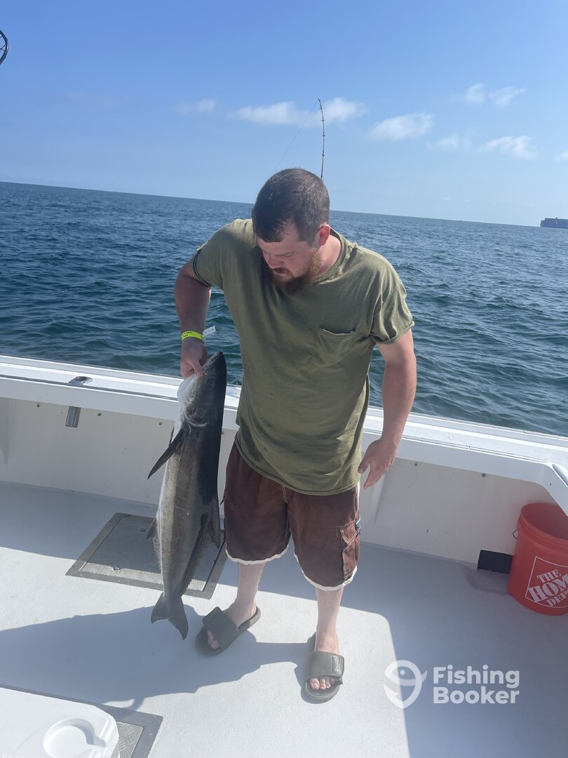 Virginia Beach Report Photo 0