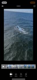 Crawfordville Report Photo 1