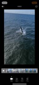 Crawfordville Report Photo 1