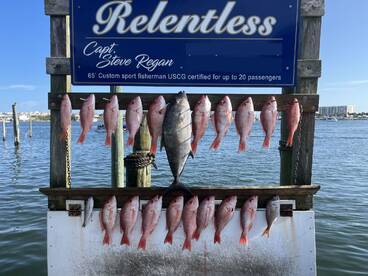 Another great day , making friends