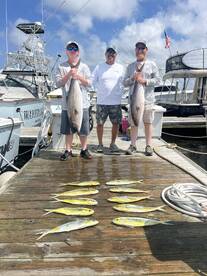 Tower trip plus mahi 