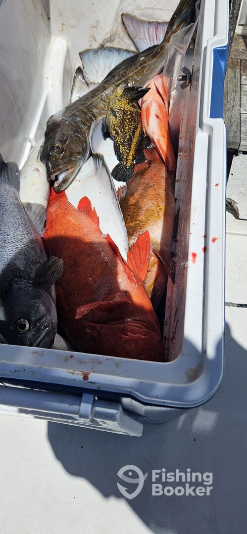 Ucluelet Report Photo 0
