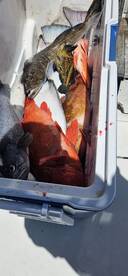 British Columbia Report Photo 1