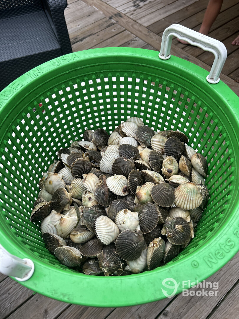 Apalachicola Report Photo 0
