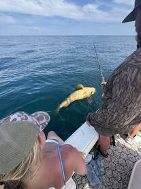 Apalachicola Report Photo 1