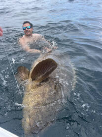 Apalachicola Report Photo 2