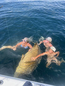 Apalachicola Report Photo 1