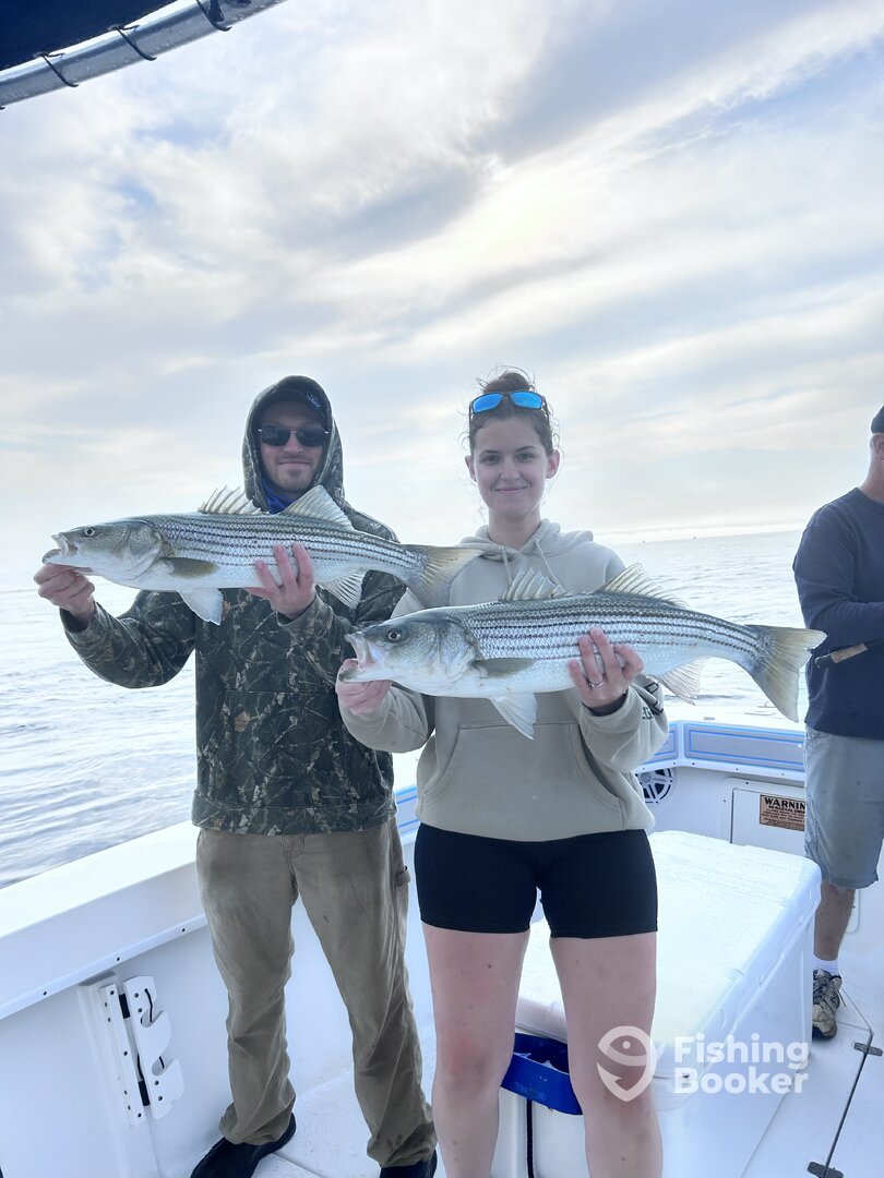 Massachusetts Report Photo 0