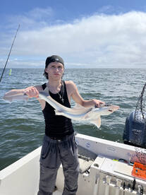 A little bit of everything today  