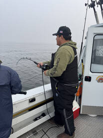 Roseburg Report Photo 4