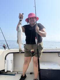 Bellevue Report Photo 2