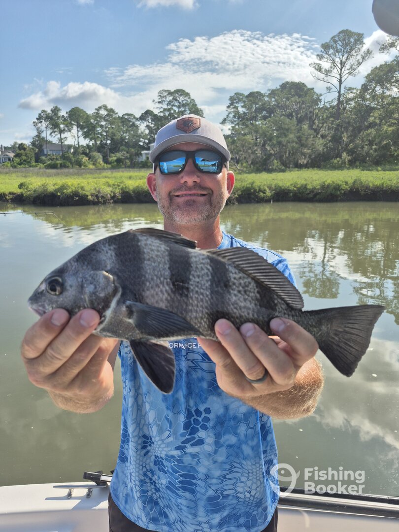 Hilton Head Island Report Photo 0