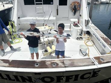 More fun fish