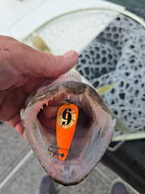 Sandusky Bay Report Photo 2