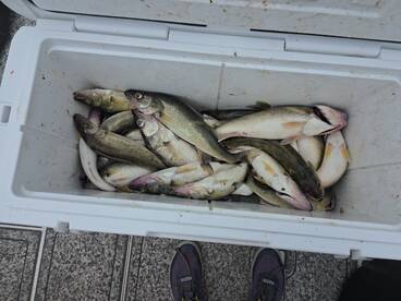 Sandusky Bay Report Photo 1