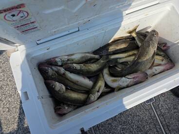Lakeside Marblehead Report Photo 1