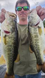 Hot Hot. Hot. Everglades Basswhisper Gui