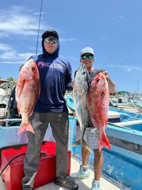 San Jose del Cabo Report Photo 2