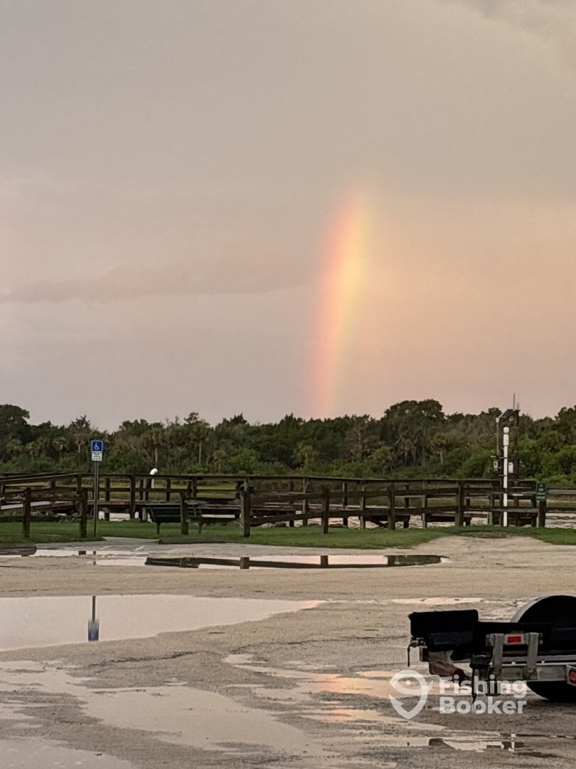 Palm Coast Report Photo 0