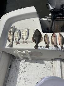 Halifax River Report Photo 1