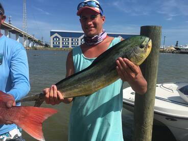 Nice Mahi