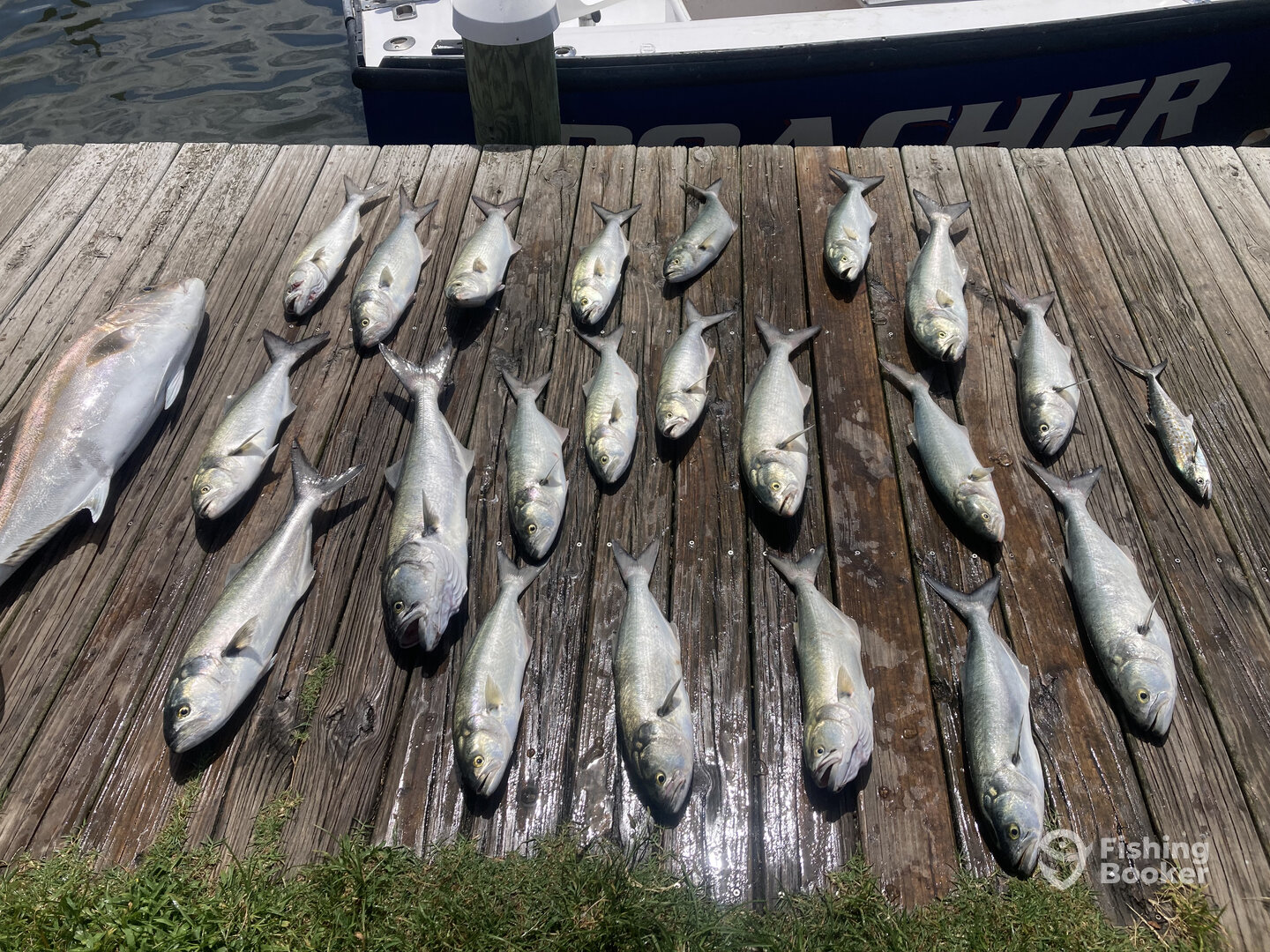 Nags Head Report Photo 0