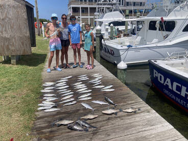Nags Head Report Photo 2