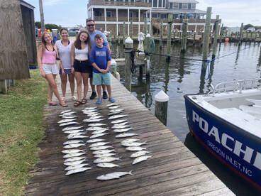 Pamlico Sound Report Photo 1
