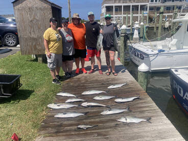 Pamlico Sound Report Photo 1