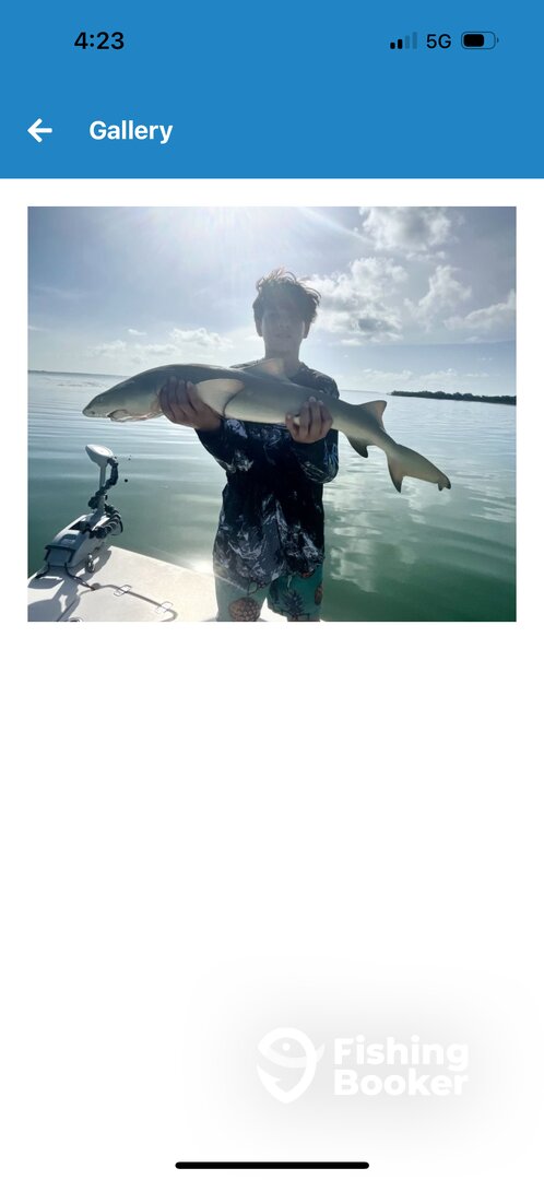 Islamorada Report Photo 0