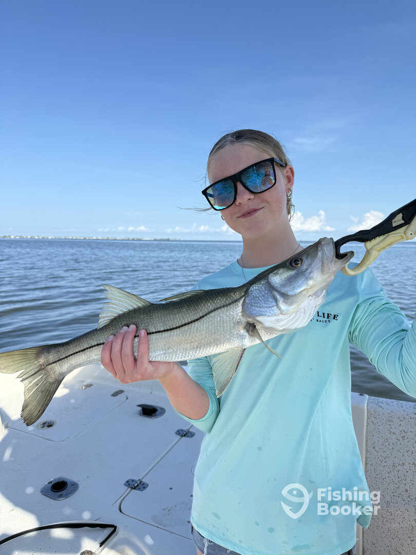 Manatee County Report Photo 0