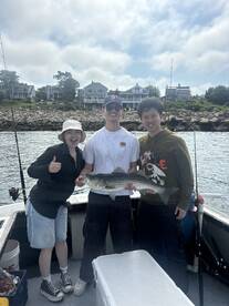 Rockport Report Photo 1