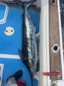 Caribbean Report Photo 1