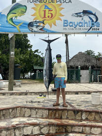 Dominicus Report Photo 2