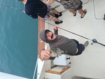 Dana Point Report Photo 2