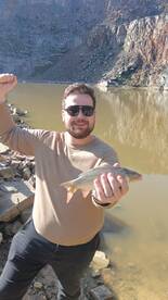 South Africa Report Photo 2