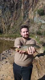 South Africa Report Photo 1