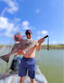 Well over 75 fish caught