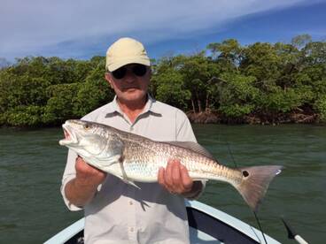 Naples Report Photo 1